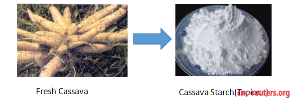 Cassava (tapioca) Starch Processing Machine