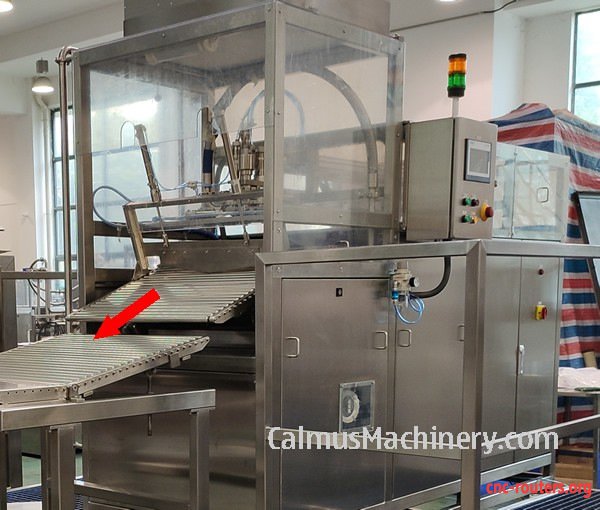 Filled Bags Exiting of Bag-in-Box Filling Machine BIBF500